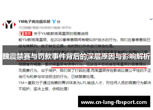 魏震禁赛与罚款事件背后的深层原因与影响解析
